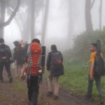 11 Orang Pendaki Meninggal Dunia Akibat Erupsi Gunung Marapi￼
