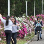 Cuaca Taiwan Diperkirakan Akan Menjadi Lebih Dingin & Basah Minggu Ini